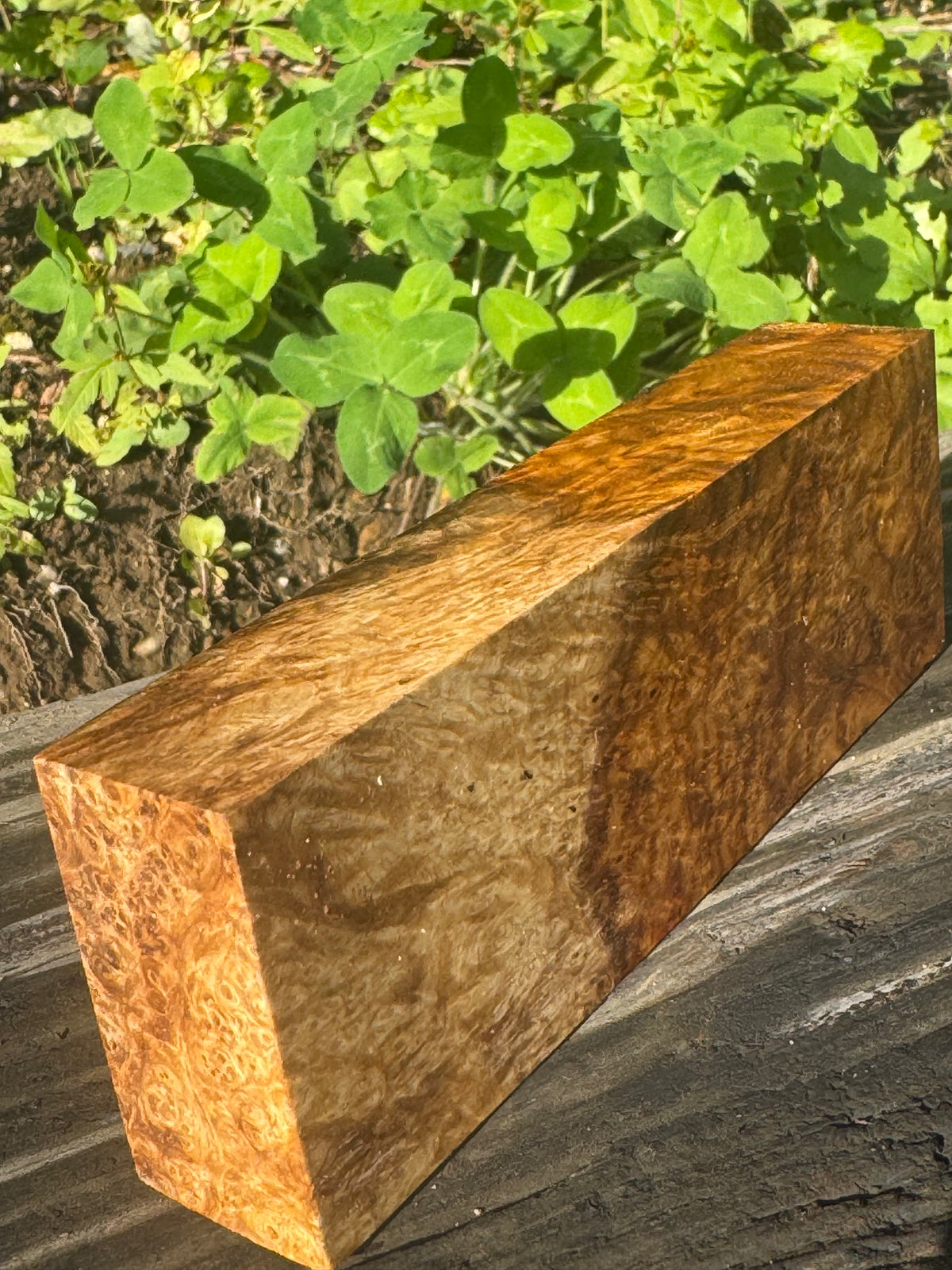 AB4 Stabilized Amboyna Burl – Knife Handle, 1911 Grip & Turning Blank