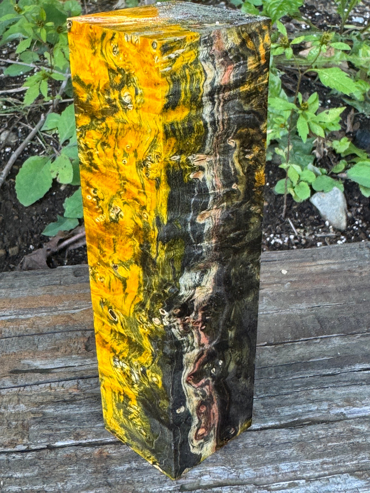 BE87 Stabilized Box Elder Burl Block Knife scales/Grips/ Game Call/Turning