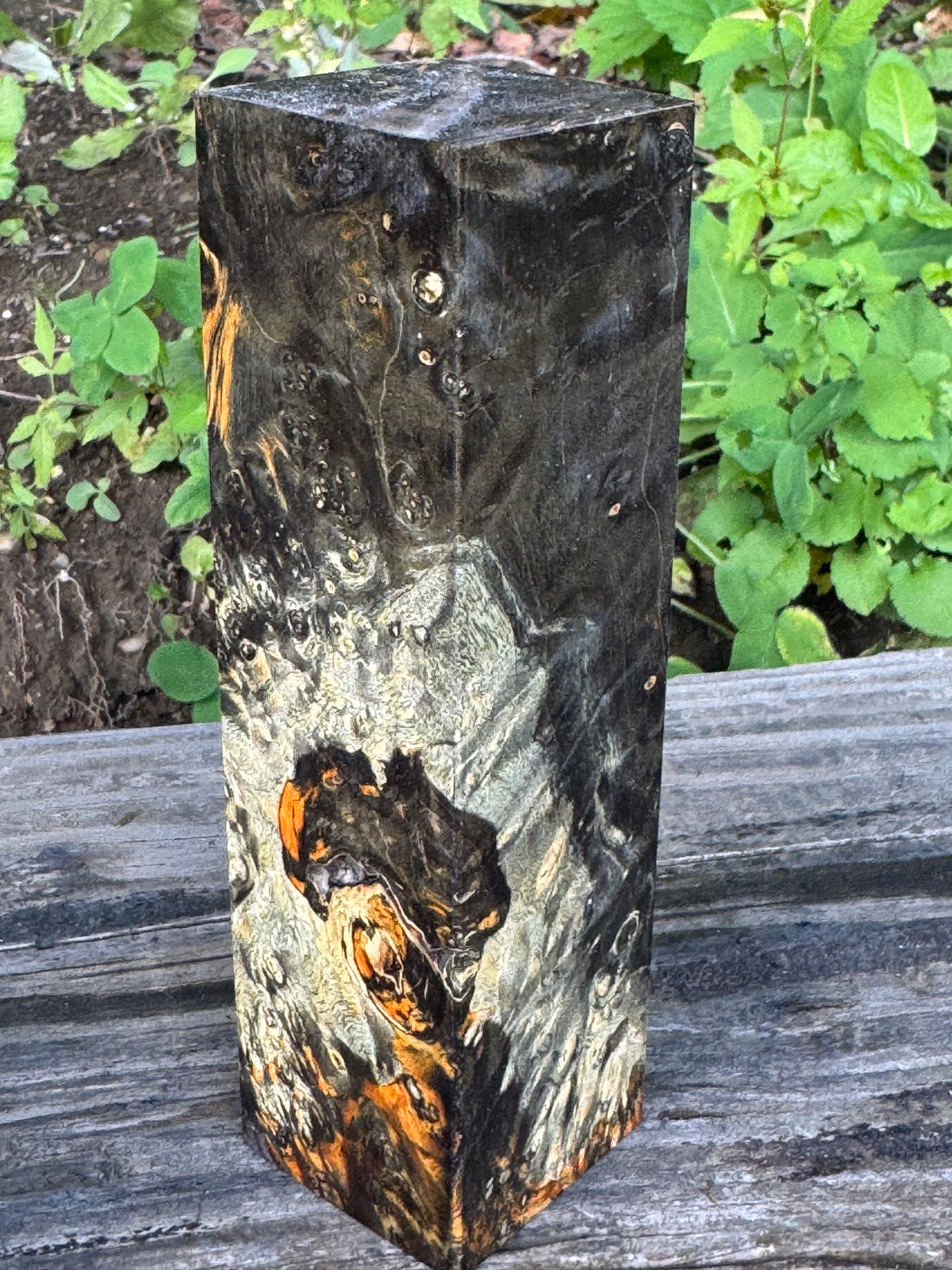 BE89 Stabilized Box Elder Burl Block Knife scales/Grips/ Game Call/Turning