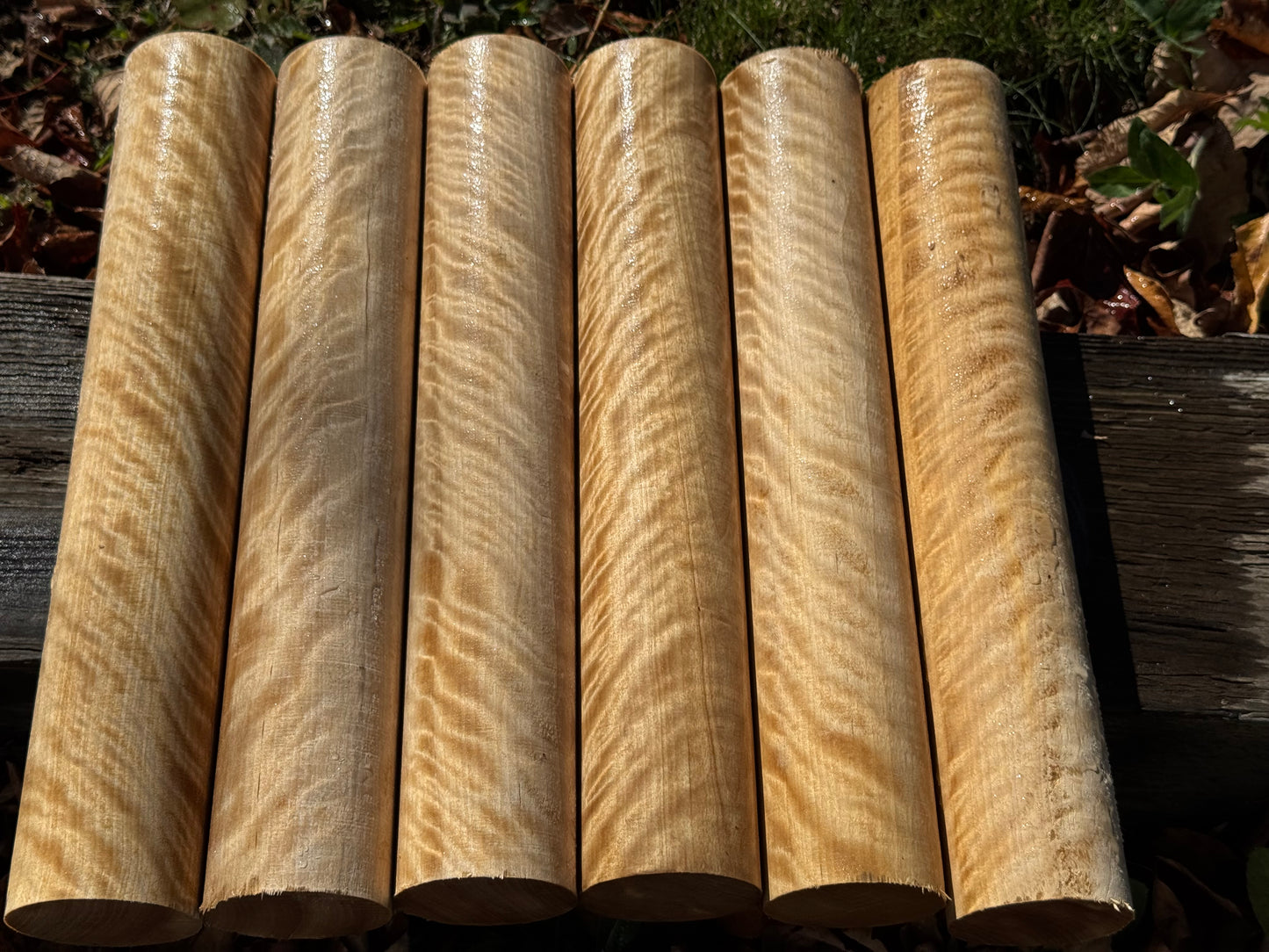 6- 2-1/8" X 12" long New England Flame Birch Game Call Turning rounds AAA