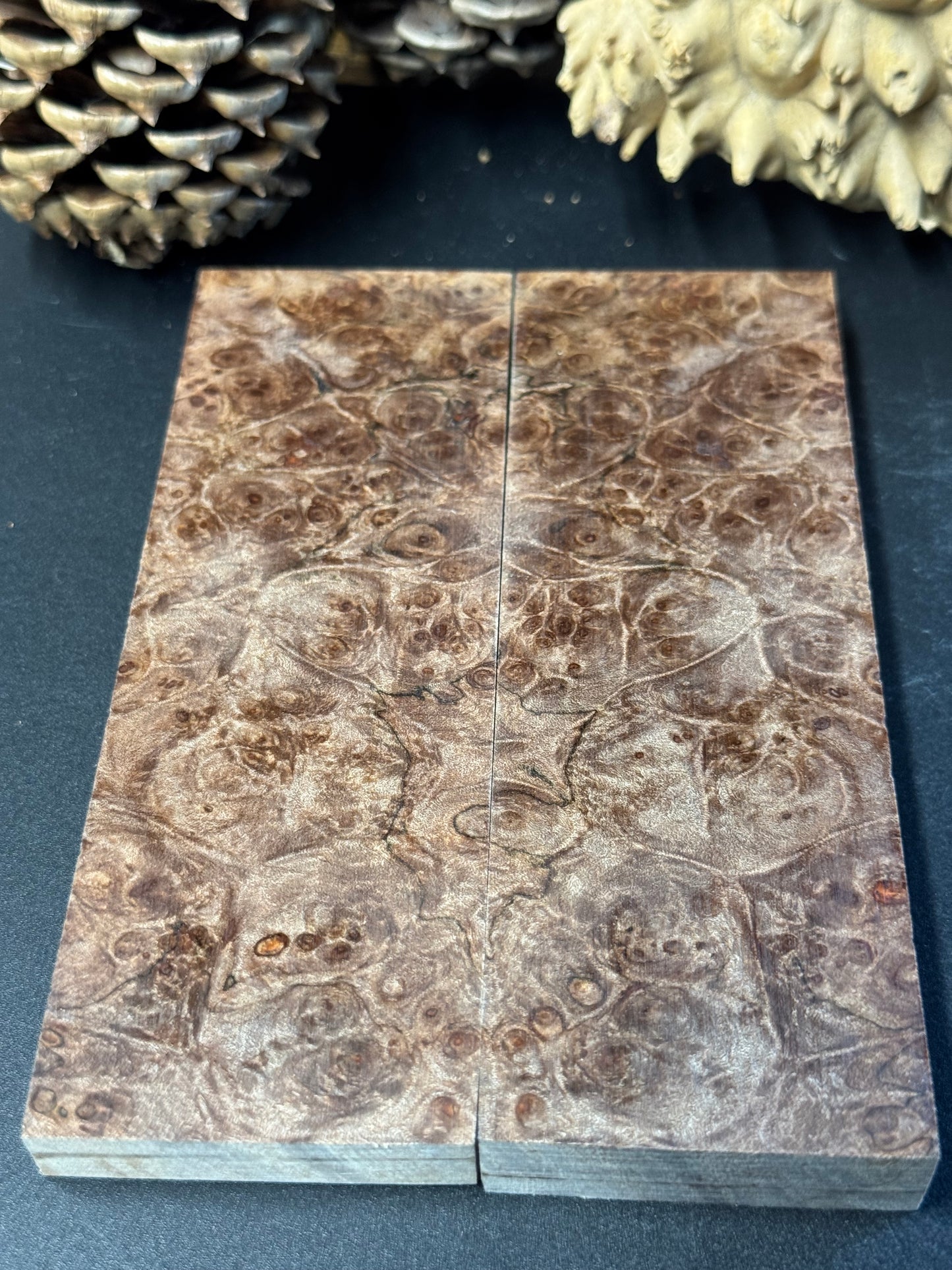 RM1 Stabilized Roasted Big Leaf Maple Burl Knife Scales 1911 Grips Natural Burl