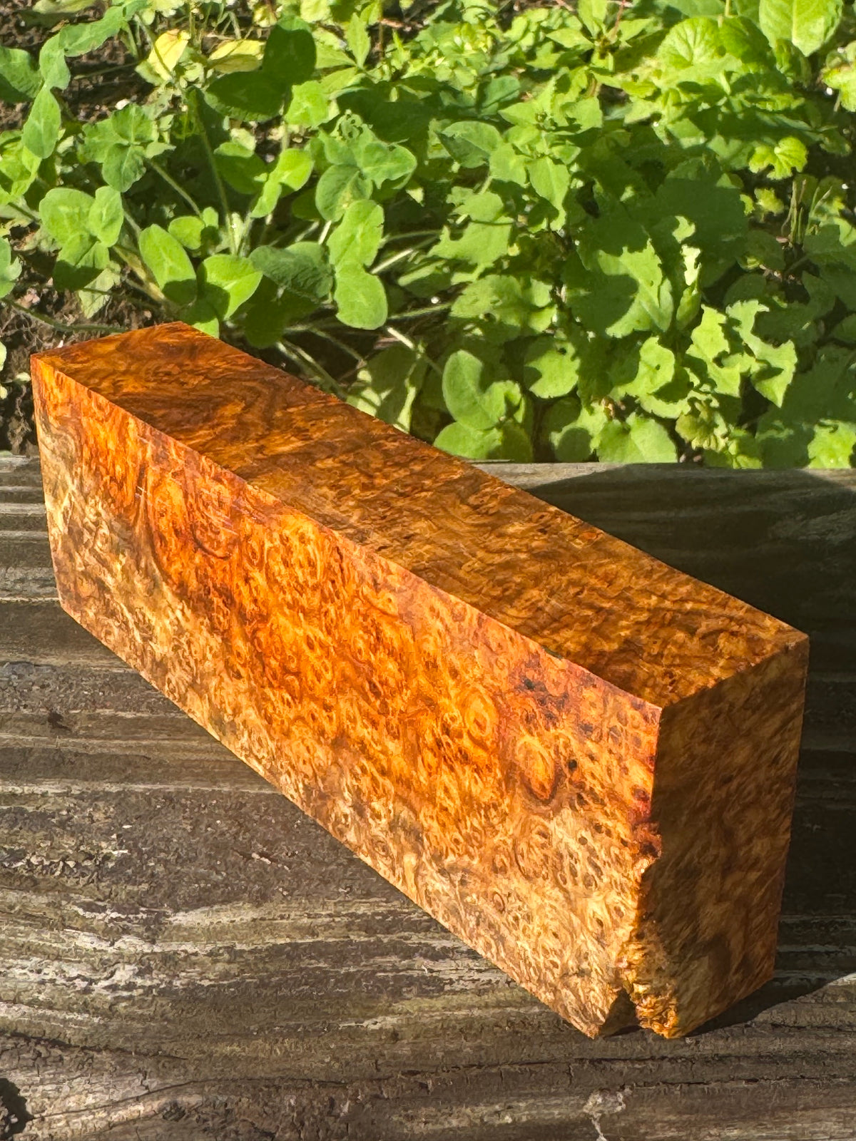 AB5 Stabilized Amboyna Burl – Knife Handle, 1911 Grip & Turning Blank