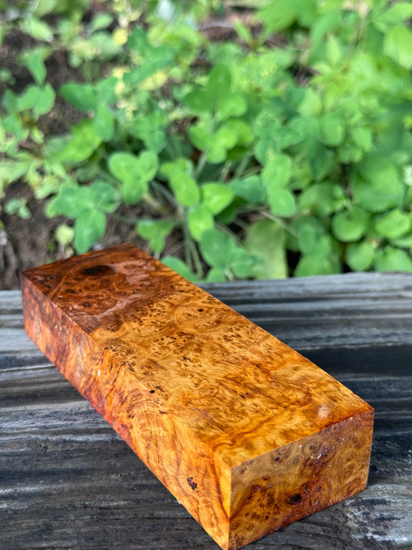 AB8 Stabilized Amboyna Burl – Knife Handle, 1911 Grip & Turning Blank
