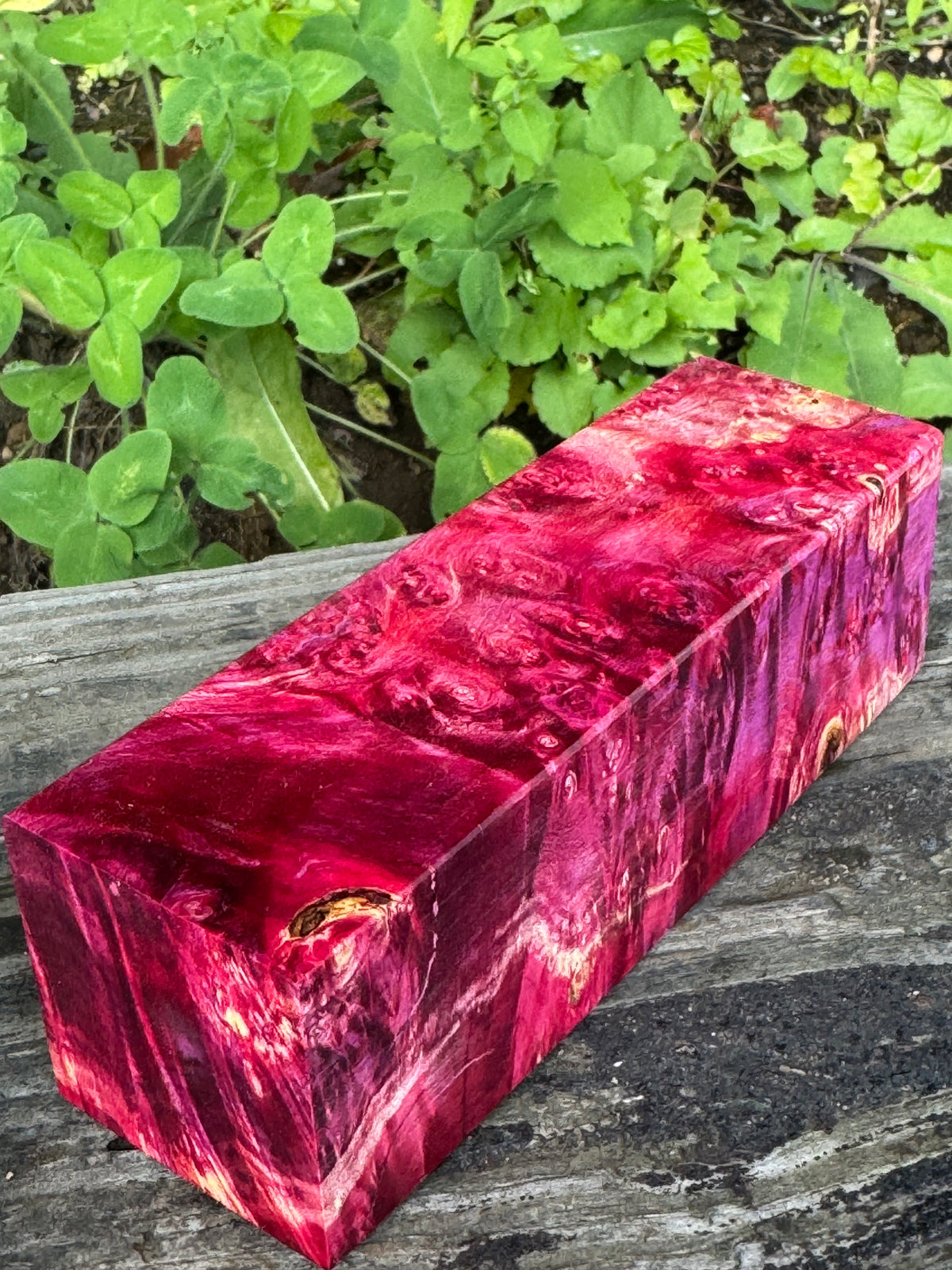 BE81 Stabilized Box Elder Burl Block  Knife scales/Grips/ Game Call/Turning