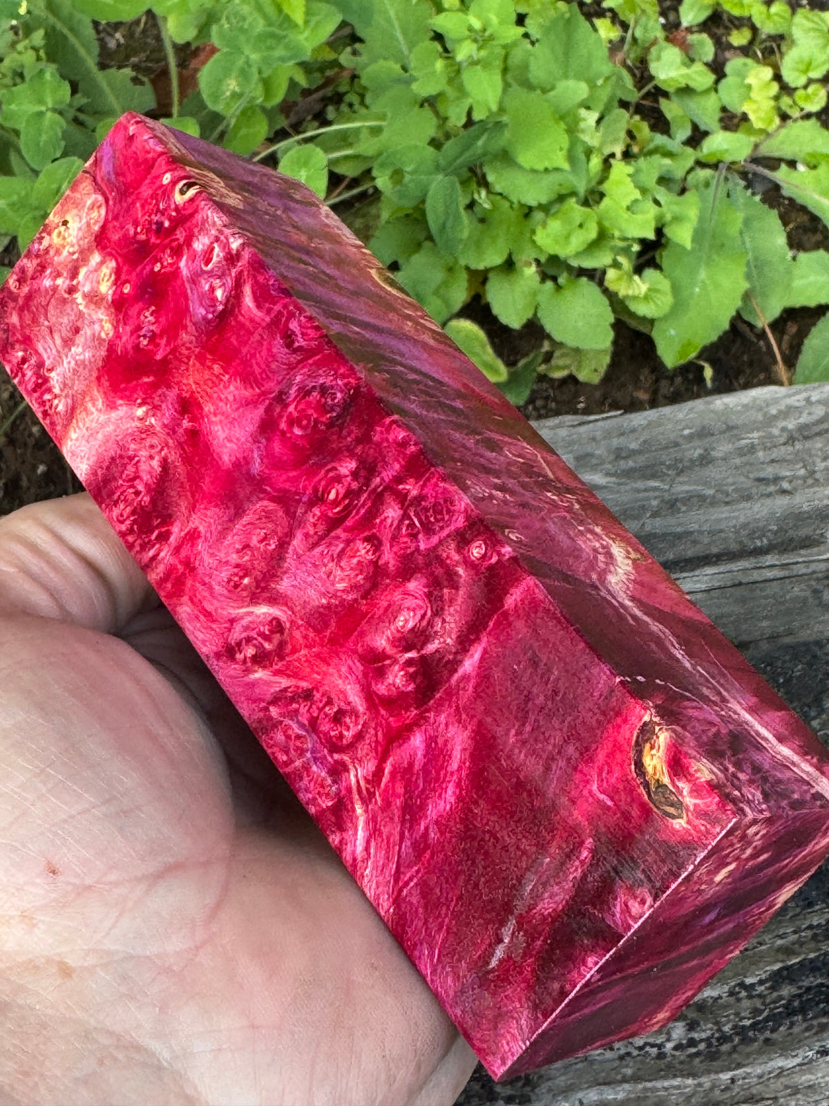 BE81 Stabilized Box Elder Burl Block  Knife scales/Grips/ Game Call/Turning