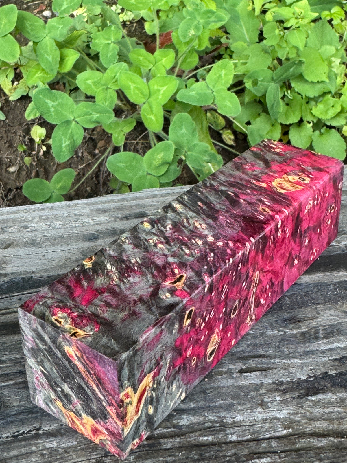 BE82 Stabilized Box Elder Burl Block  Knife scales/Grips/ Game Call/Turning
