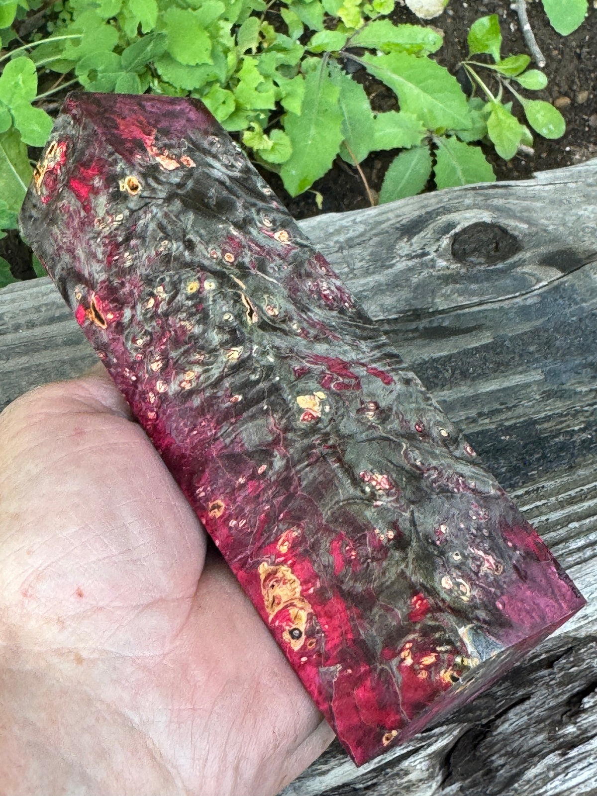 BE82 Stabilized Box Elder Burl Block  Knife scales/Grips/ Game Call/Turning