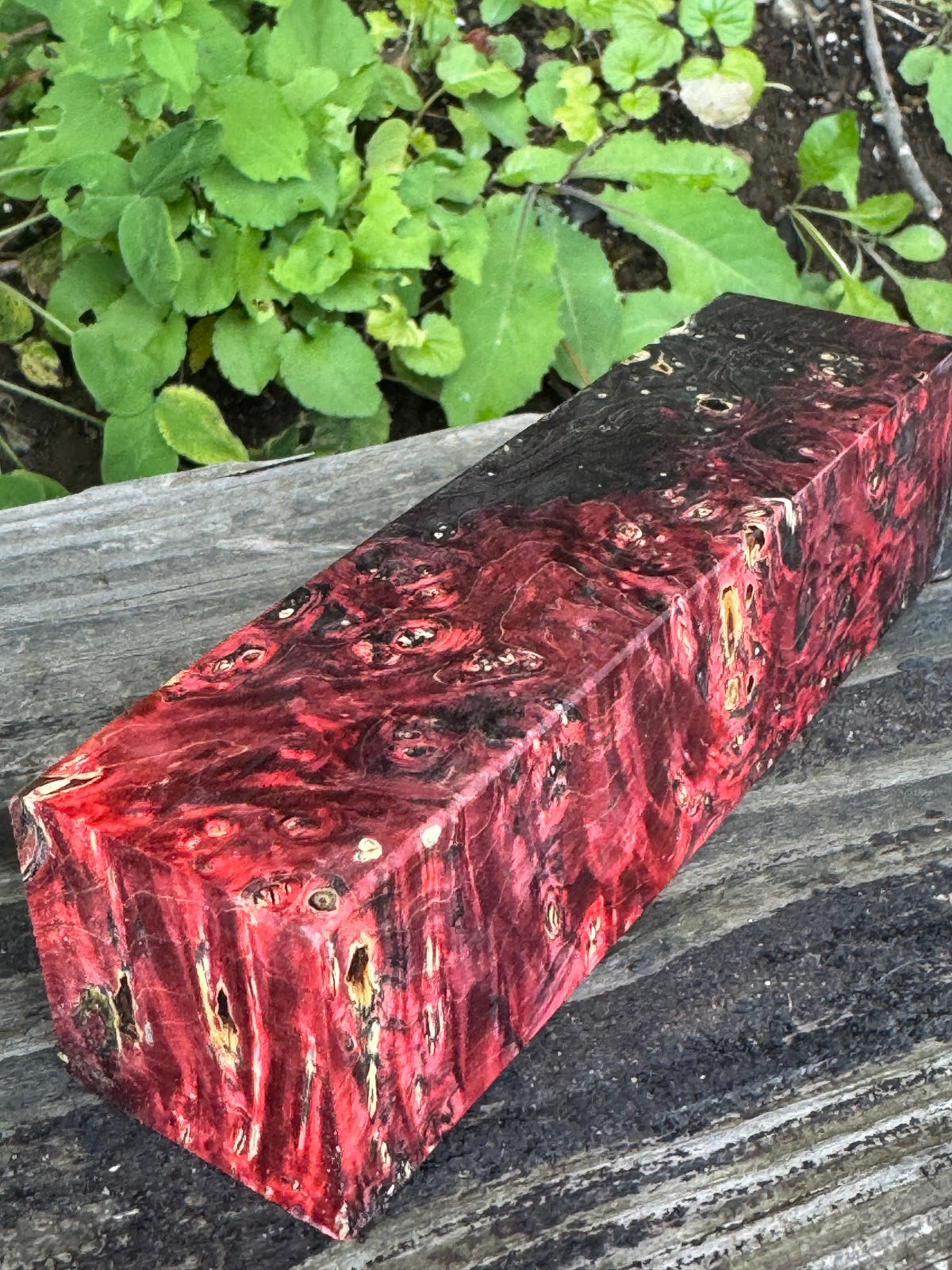 BE83 Stabilized Box Elder Burl Block  Knife scales/Grips/ Game Call/Turning