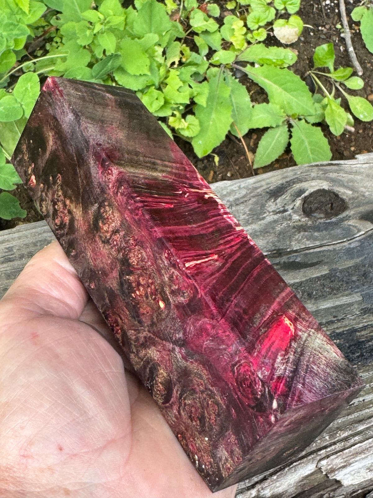 BE84 Stabilized Box Elder Burl Block  Knife scales/Grips/ Game Call/Turning