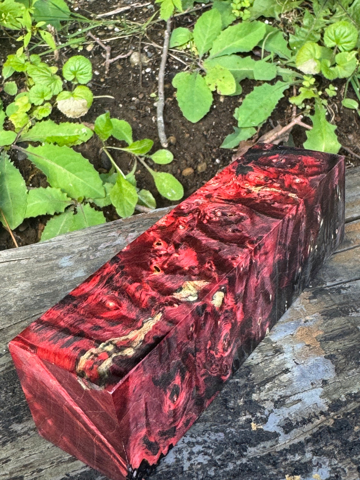 BE85 Stabilized Box Elder Burl Block  Knife scales/Grips/ Game Call/Turning