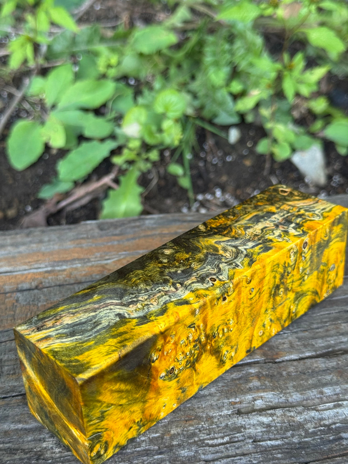 BE87 Stabilized Box Elder Burl Block  Knife scales/Grips/ Game Call/Turning