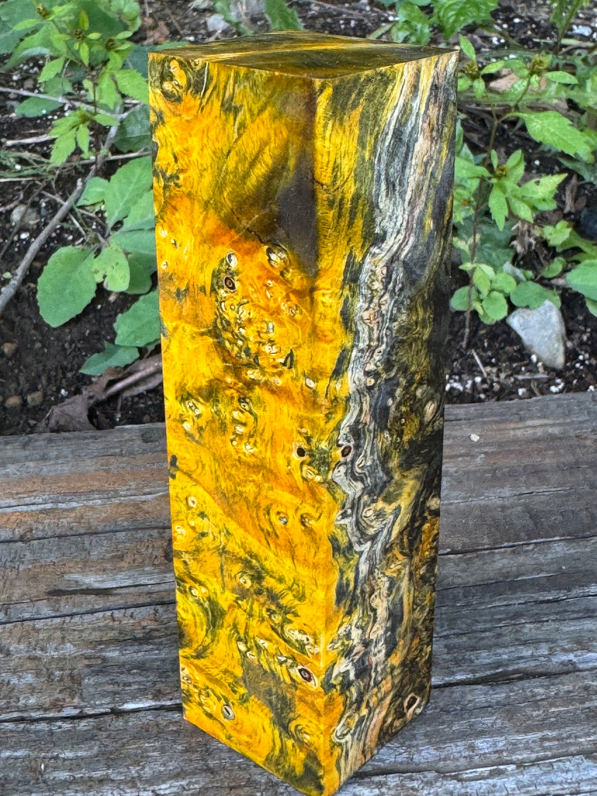 BE87 Stabilized Box Elder Burl Block  Knife scales/Grips/ Game Call/Turning