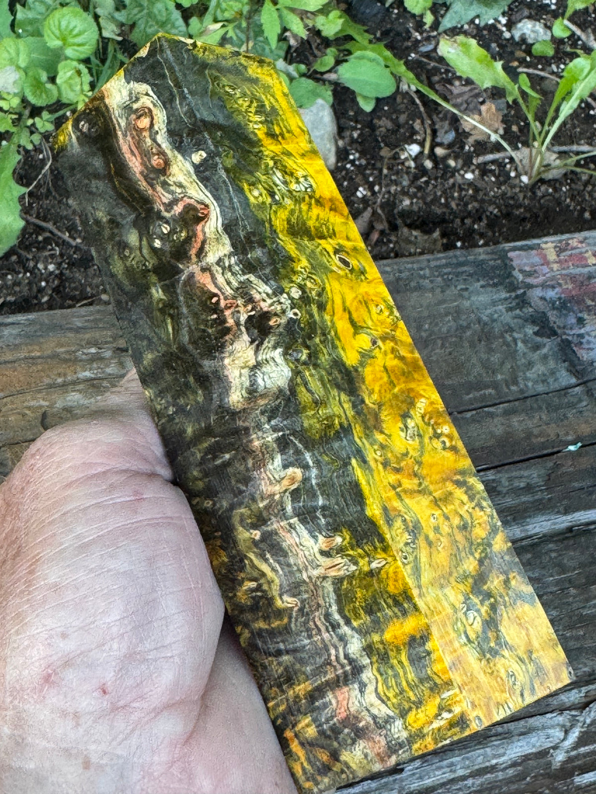 BE87 Stabilized Box Elder Burl Block  Knife scales/Grips/ Game Call/Turning