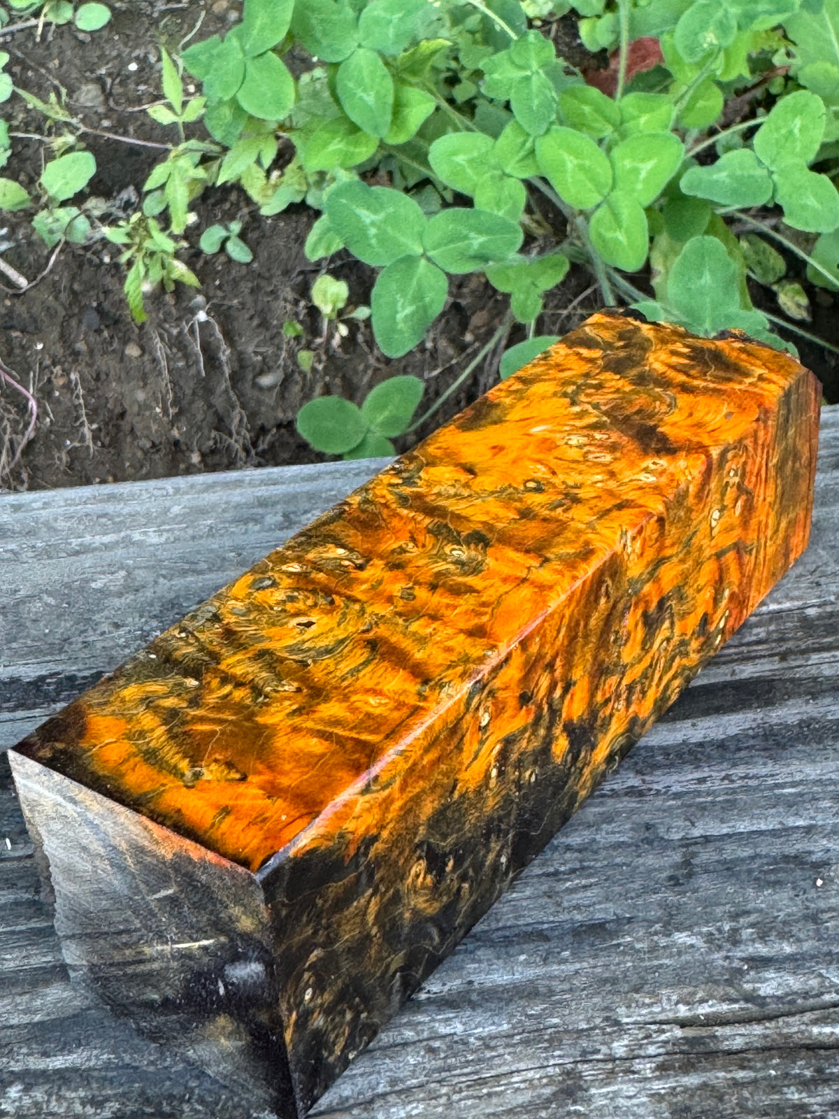 BE88 Stabilized Box Elder Burl Block  Knife scales/Grips/ Game Call/Turning