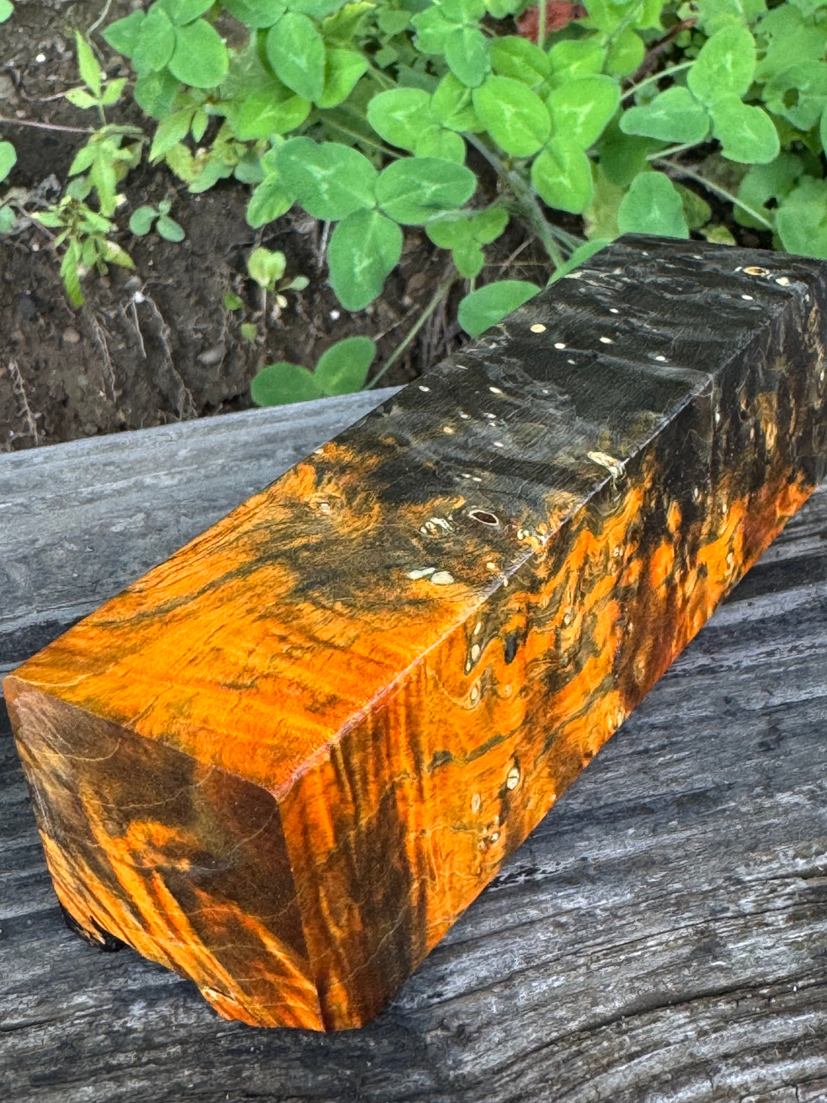 BE88 Stabilized Box Elder Burl Block  Knife scales/Grips/ Game Call/Turning