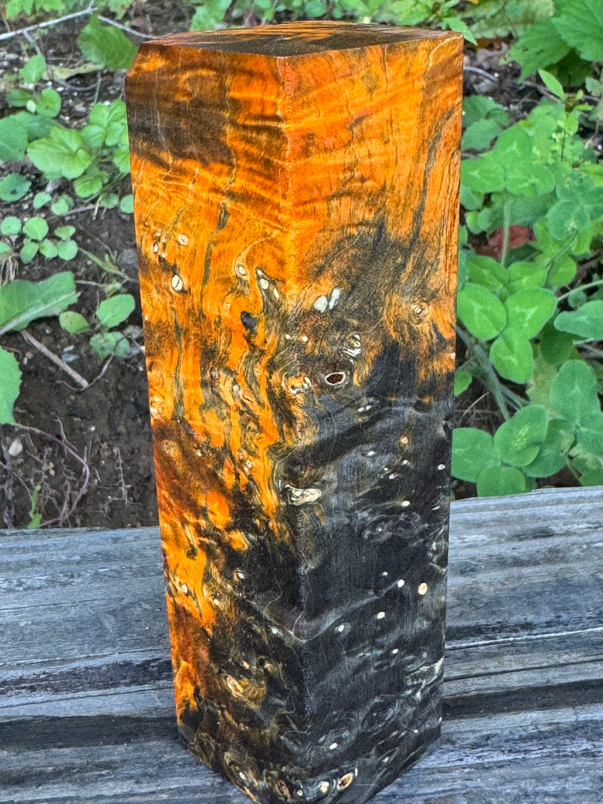 BE88 Stabilized Box Elder Burl Block  Knife scales/Grips/ Game Call/Turning