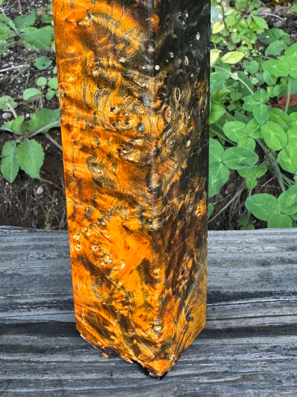 BE88 Stabilized Box Elder Burl Block  Knife scales/Grips/ Game Call/Turning