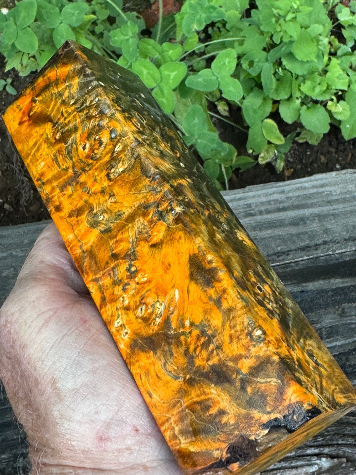 BE88 Stabilized Box Elder Burl Block  Knife scales/Grips/ Game Call/Turning