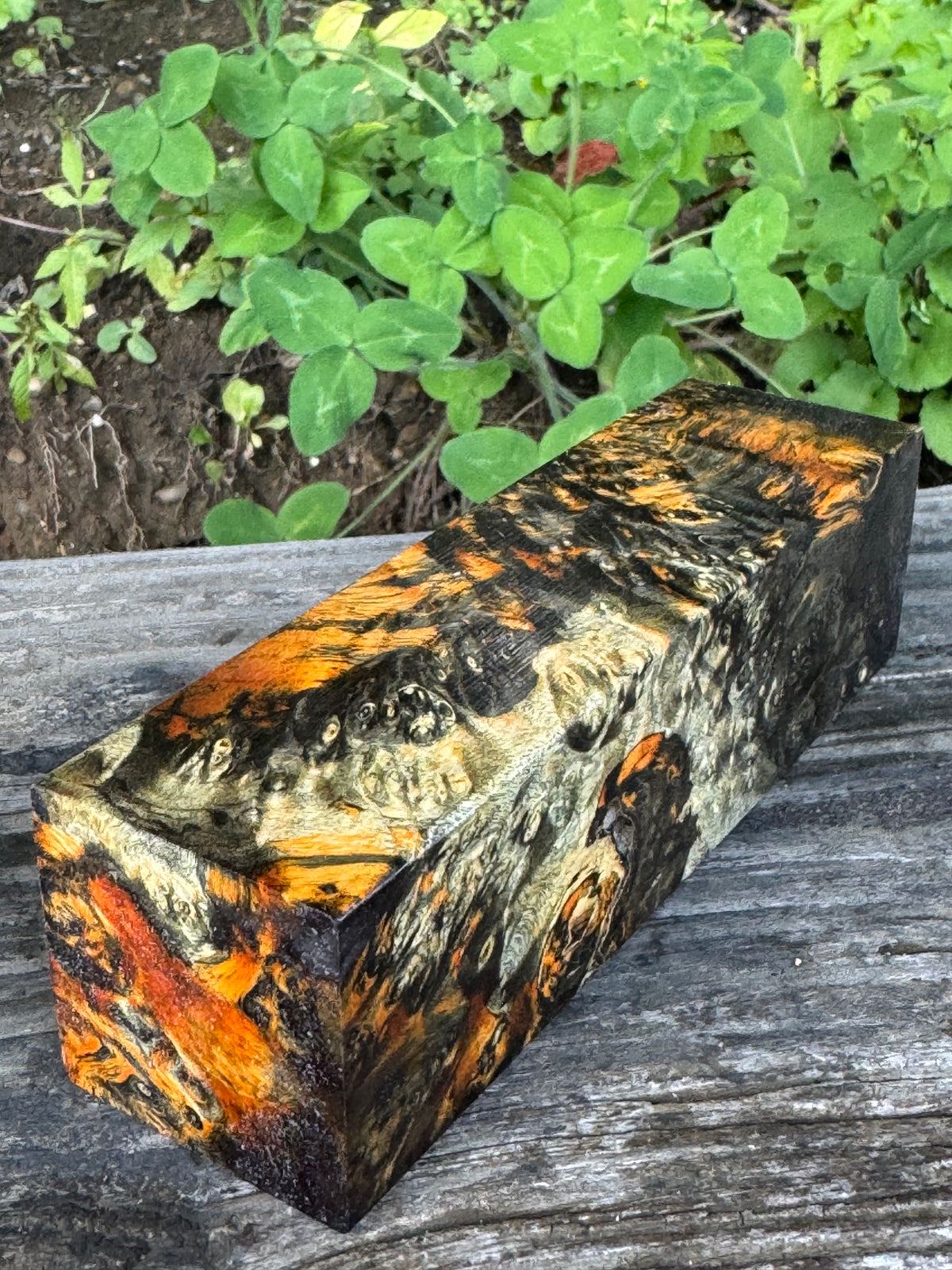 BE89 Stabilized Box Elder Burl Block  Knife scales/Grips/ Game Call/Turning