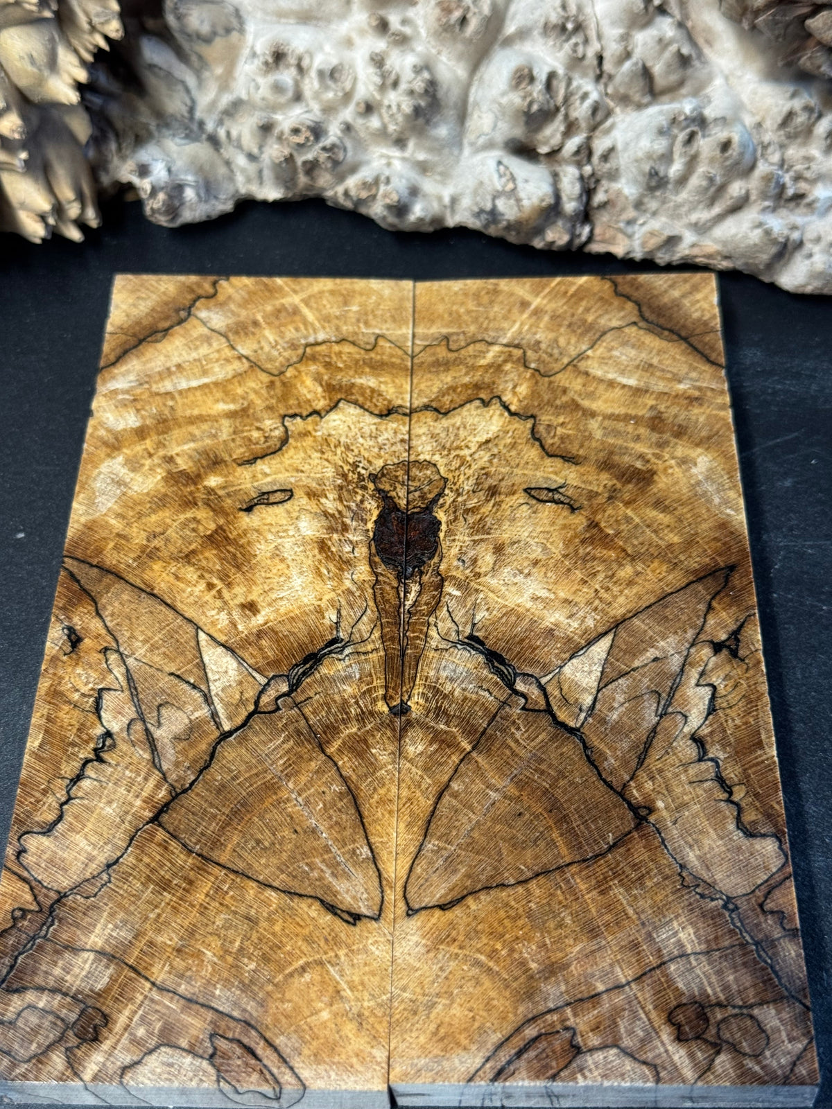 Stabilized Spalted Sugar Maple Knife Scales 1911 Grips Natural SM34