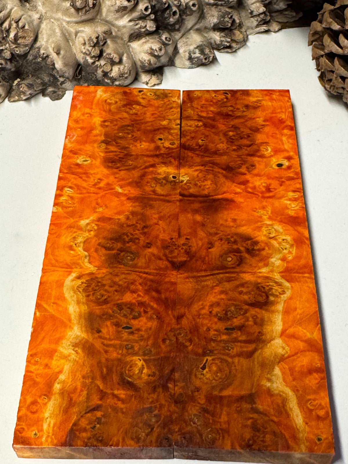 Stabilized Box Elder Burl Knife Scales / 1911 Grips BE66