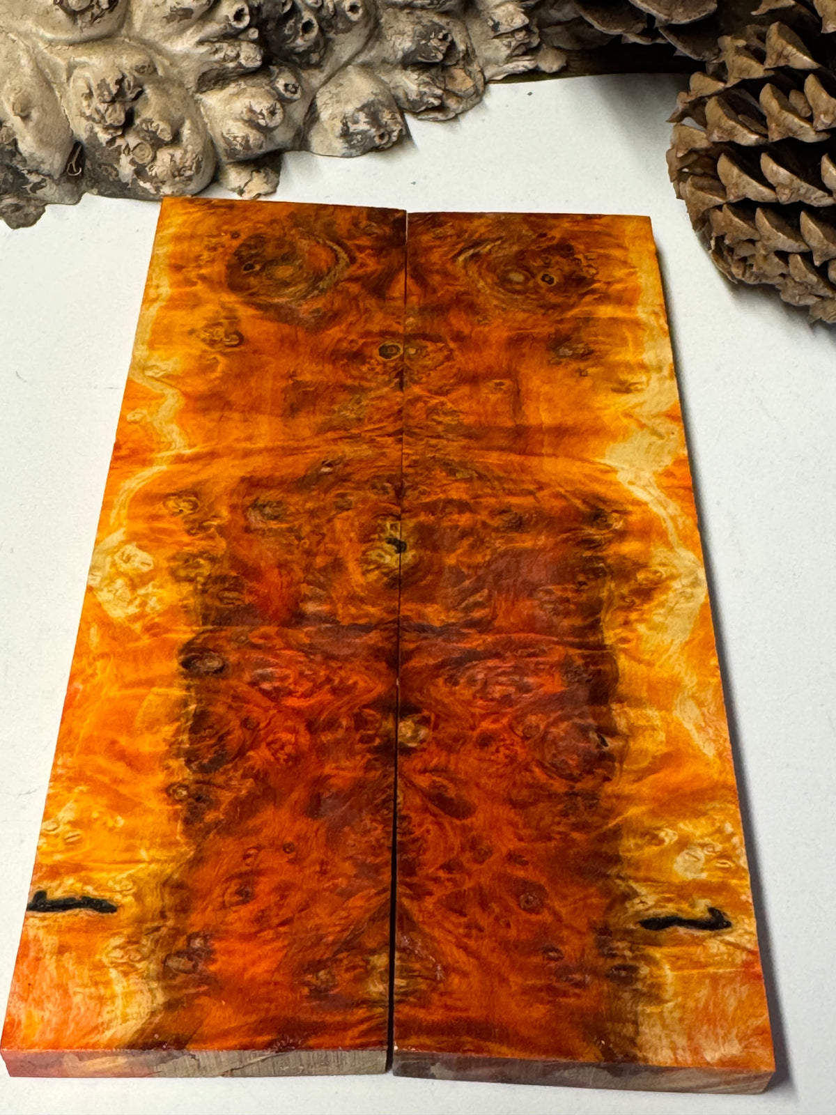 Stabilized Box Elder Burl Knife Scales / 1911 Grips BE68