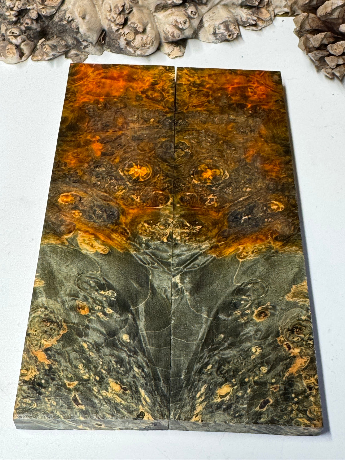 Stabilized Box Elder Burl Knife Scales / 1911 Grips BE73