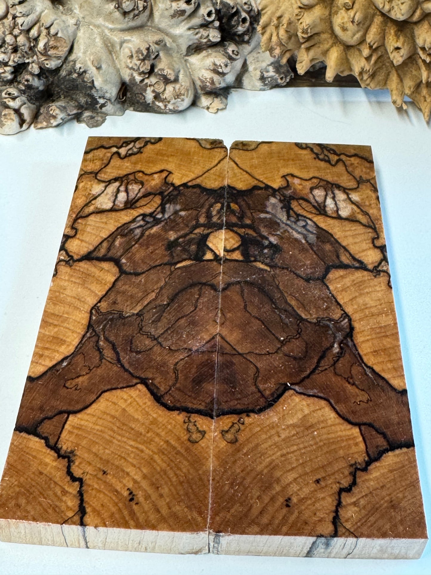 Stabilized Spalted Sugar Maple Maple Knife Scales/ 1911 Grips SM13