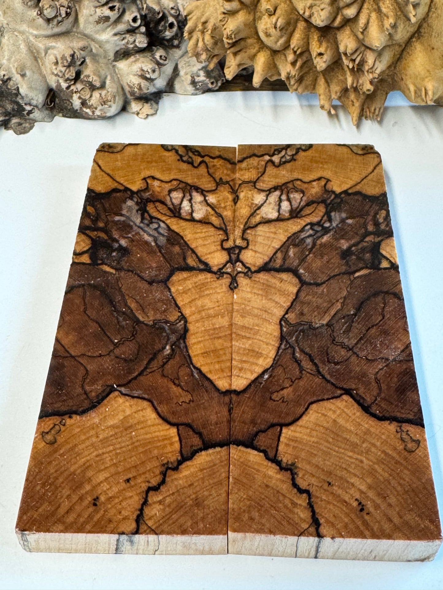 Stabilized Spalted Sugar Maple Maple Knife Scales/ 1911 Grips SM13