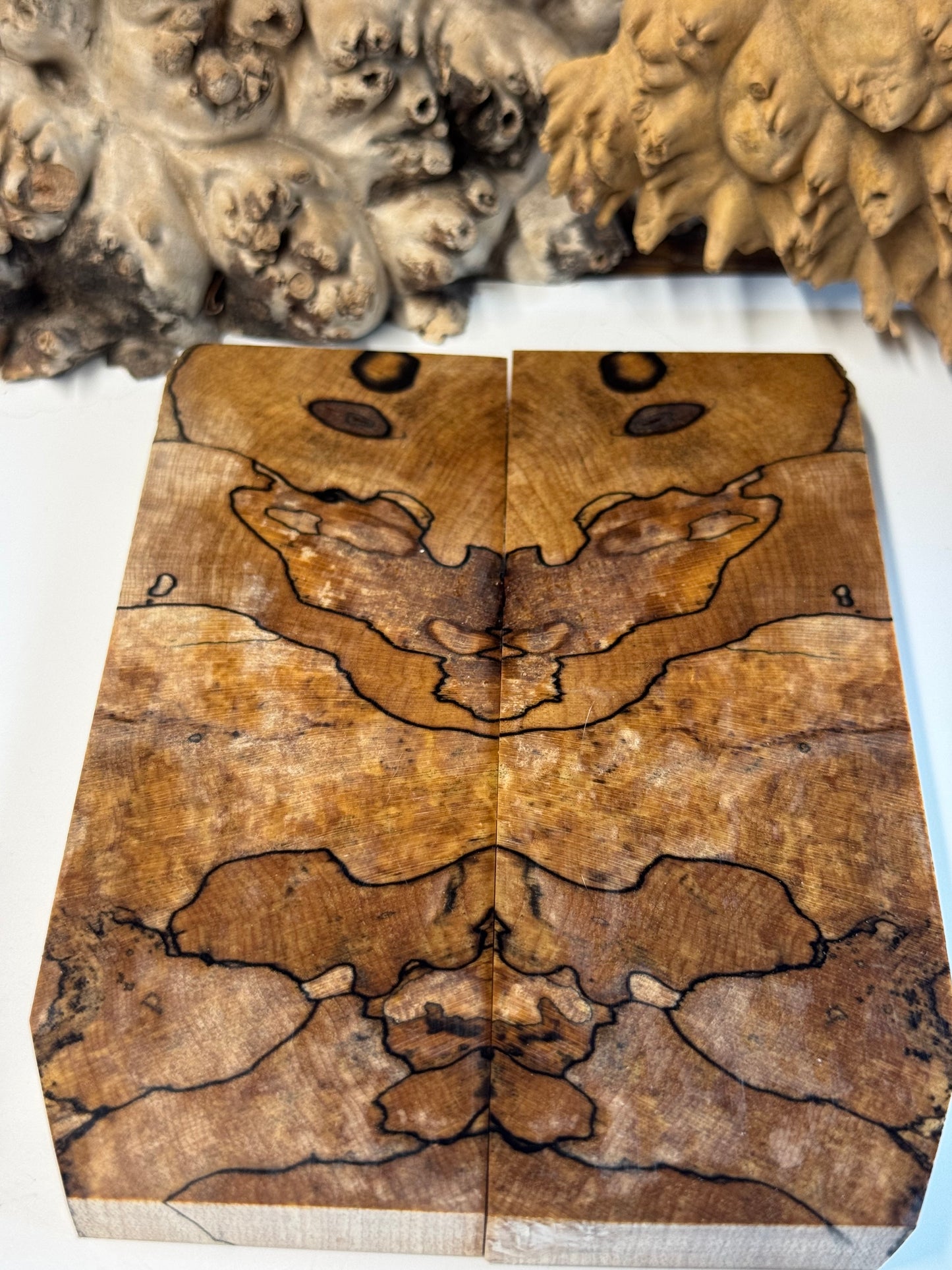 Stabilized Spalted Sugar Maple Maple Knife Scales/ 1911 Grips SM17