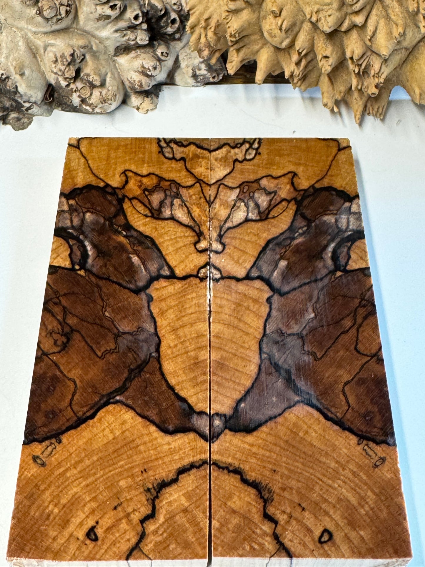 Stabilized Spalted Sugar Maple Maple Knife Scales/ 1911 Grips SM18