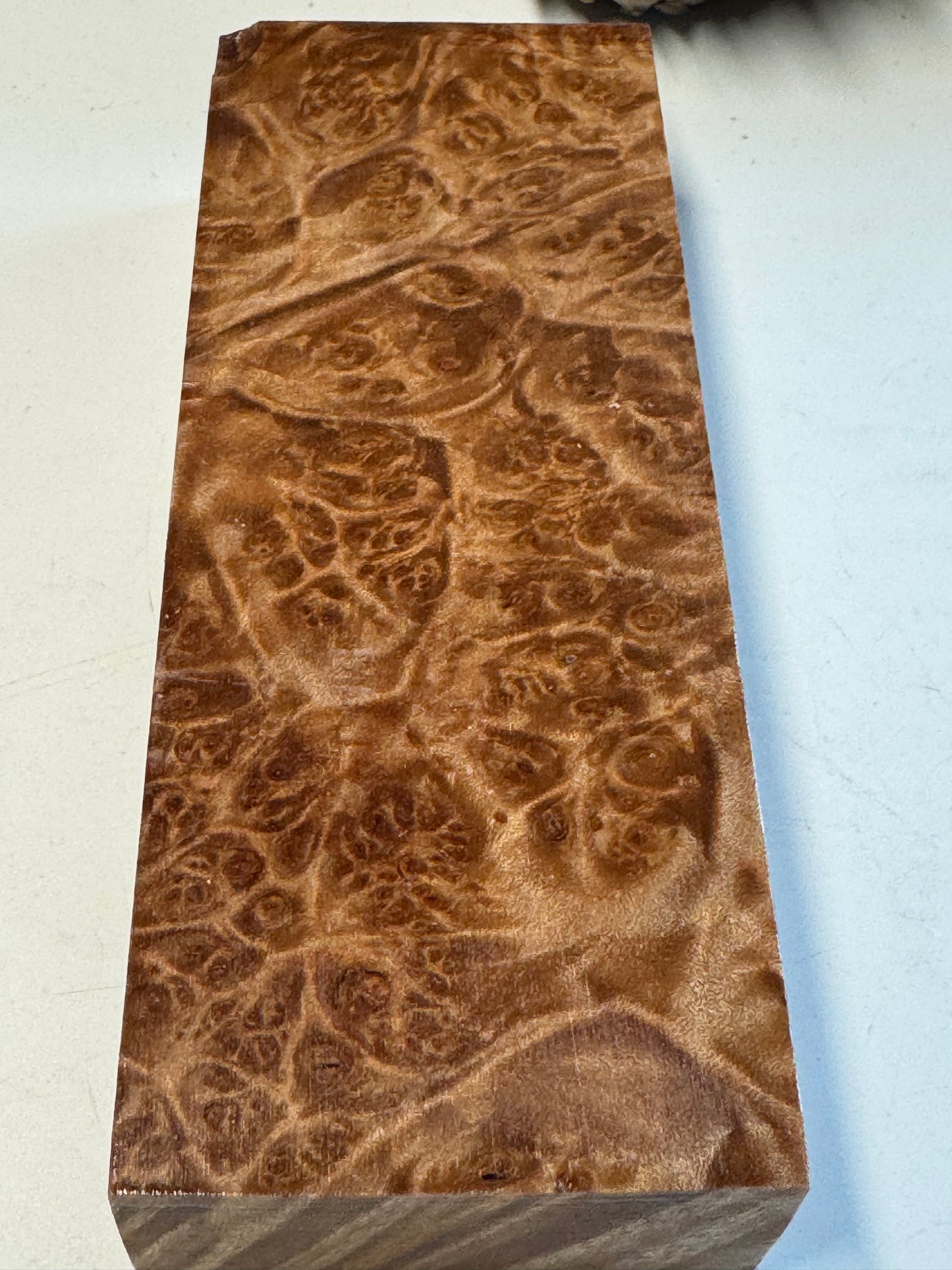 BLM55 Stabilized Big Leaf Maple Burl Knife Scales 1911 Grips Natural Burl