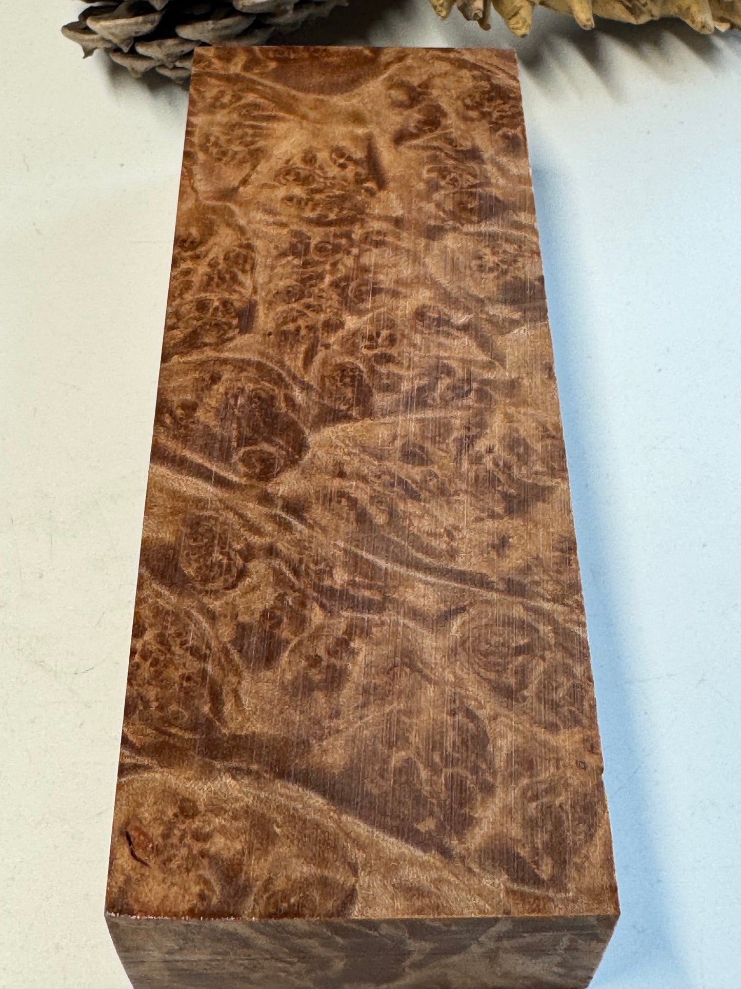 BLM55 Stabilized Big Leaf Maple Burl Knife Scales 1911 Grips Natural Burl