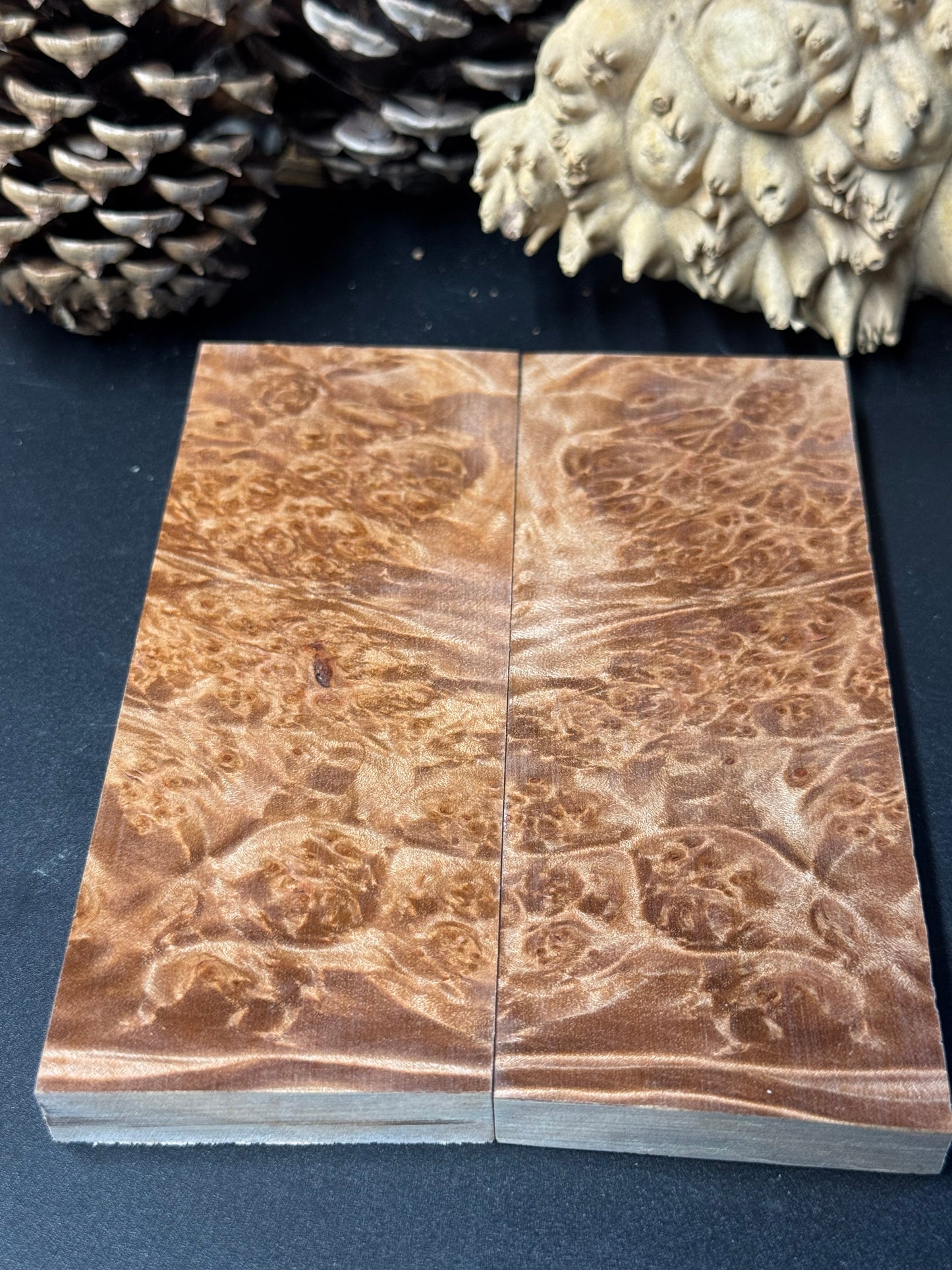BLM62 Stabilized Big Leaf Maple Burl Knife Scales 1911 Grips Natural Burl