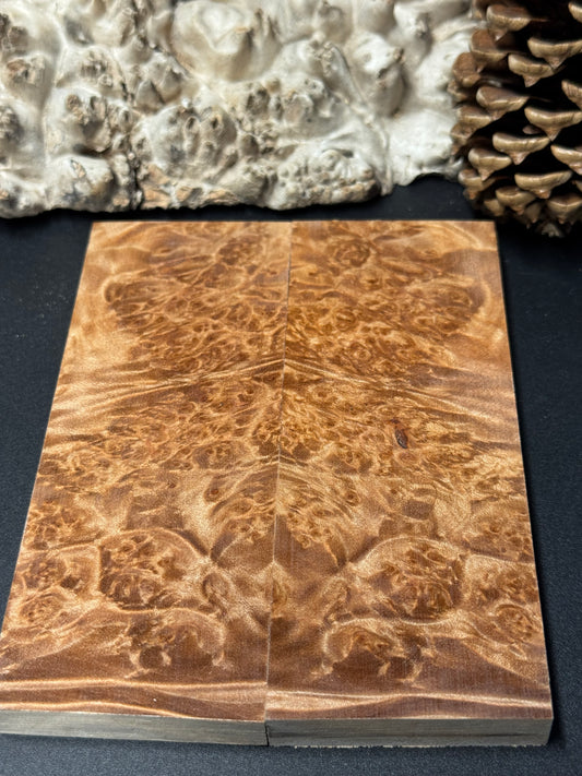 BLM62 Stabilized Big Leaf Maple Burl Knife Scales 1911 Grips Natural Burl