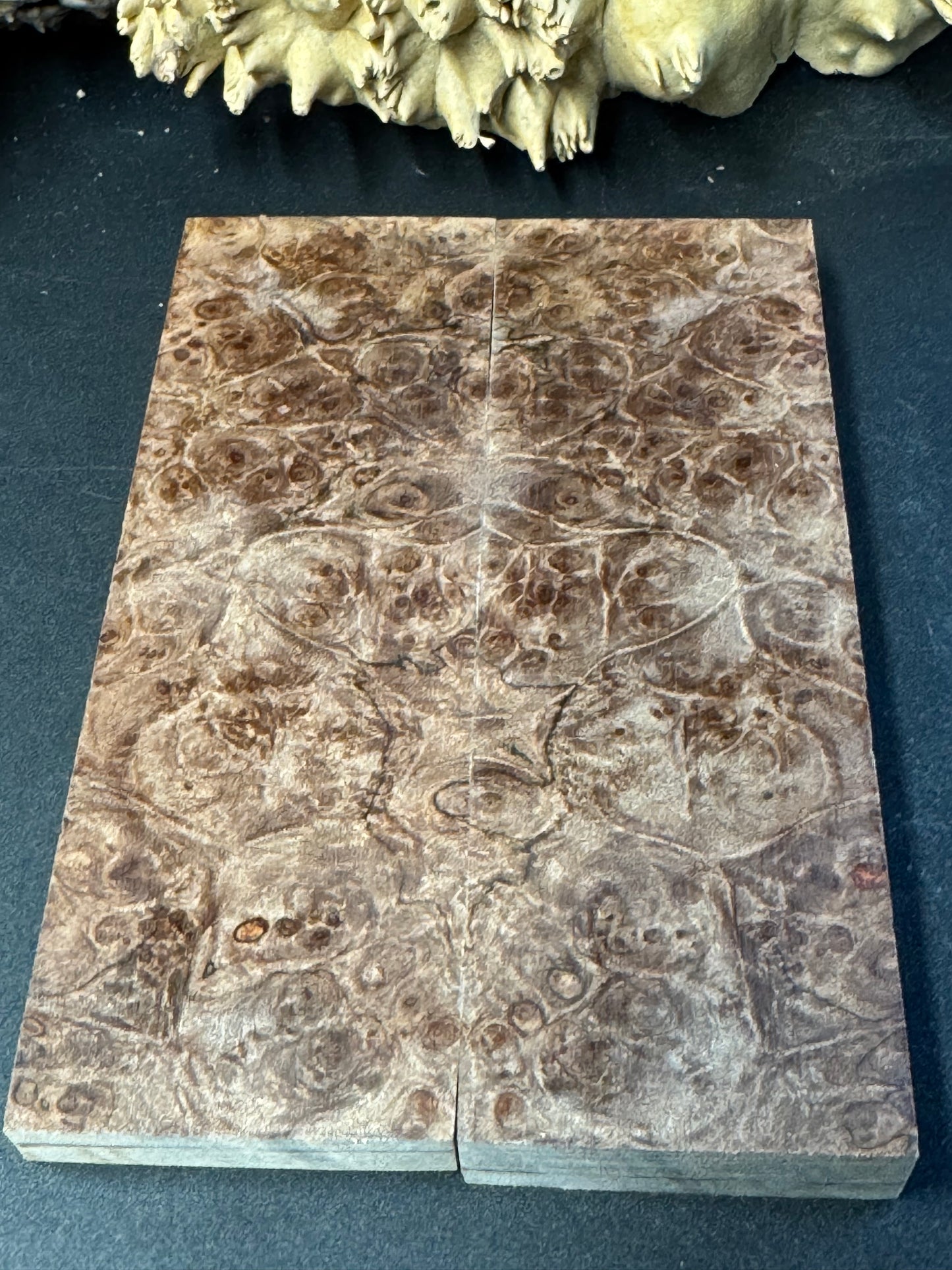 RM1 Stabilized Roasted Big Leaf Maple Burl Knife Scales 1911 Grips Natural Burl
