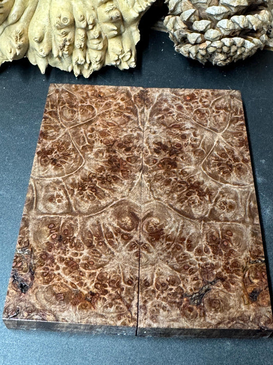 Roasted Stabilized Burl Big Leaf Maple Knife scales/ 1911 Grips  RM54